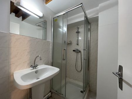 APPARTEMENT T2 A LOUER LYON 4EME ARRONDISSEMENT Cuire Canuts - Photo 5