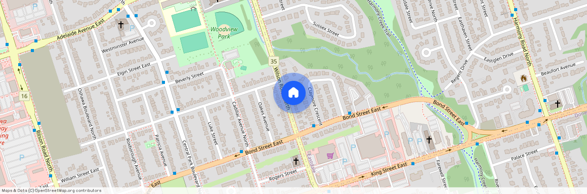 107 Wilson Road N #Bsmt, Oshawa, O'Neill