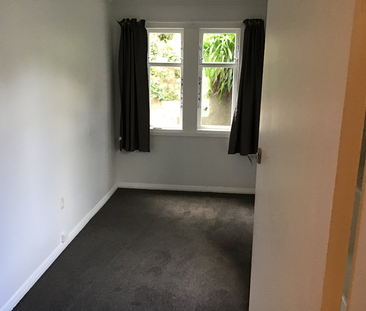Stunning Character Home in Hataitai - A pet allowed - Photo 4