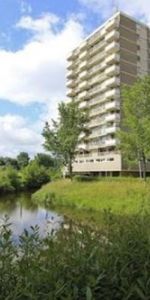 Alexanderstraat, 2713 AN Zoetermeer, Nederland - Photo 3