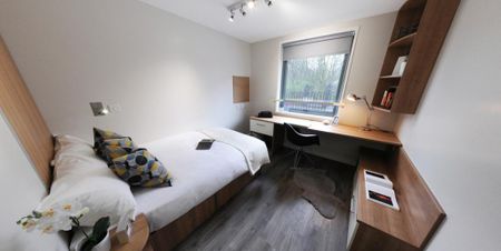 Flat share to rent - Photo 5