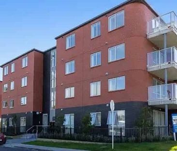 Glen Innes living! - Photo 2