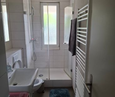 Charming 2-room Apartment in Zurich-Wipkingen - temporary - Foto 5