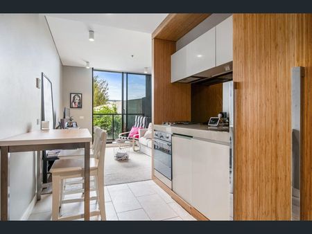 315/1 Clara Street, South Yarra VIC 3141 - Apartment For Rent | Domain - Photo 4