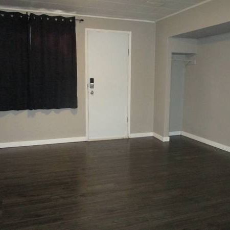 Spacious Lower Suite! - Photo 4