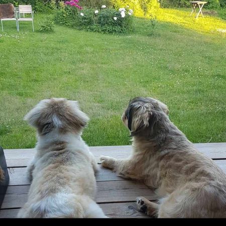 Nya vägen, Vänersborg - Photo 4