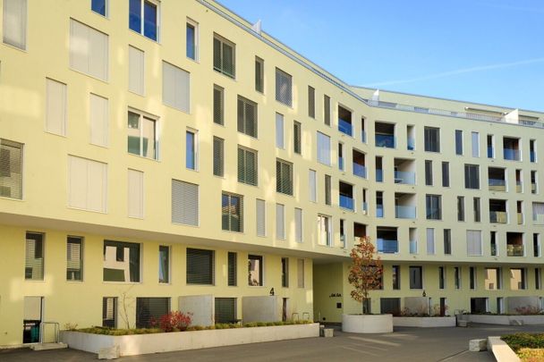 2.5 room apartment for rent in Fribourg! - Foto 1