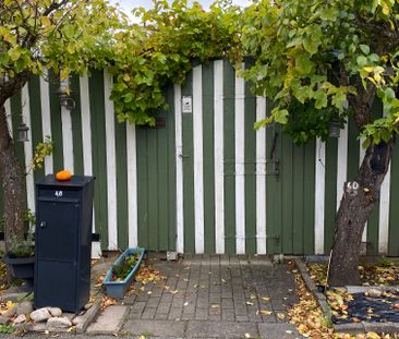 Paragrafgränden, Lund - Photo 6