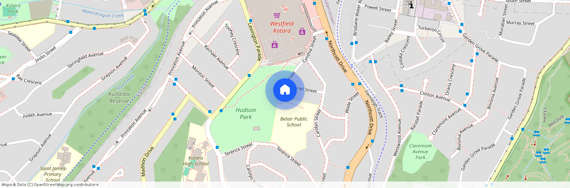 19 Muriel Street, Adamstown Heights, NSW 2289