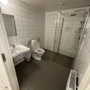 Polarvägen, Vega - Foto 2