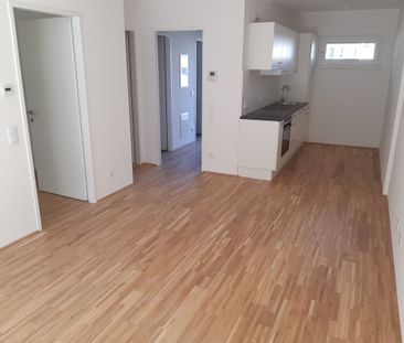 WEIHNACHTSAKTION: 1. MONAT MIETFREI TOP 2-ZIMMERWOHNUNG MIT BALKON - Foto 1