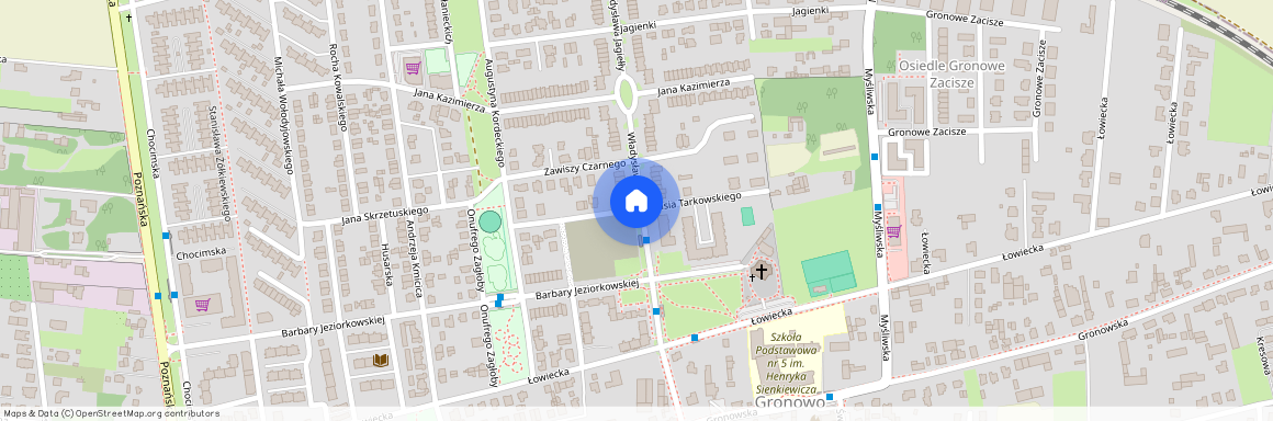 ul. Stasia Tarkowskiego, Leszno, wielkopolskie