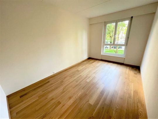 Gradelle - Au dessus du Parc des Eaux-Vives - Photo 1