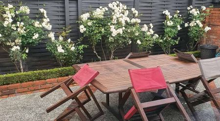 Charming 3 Bedroom Home with Harbour Views - Photo 5