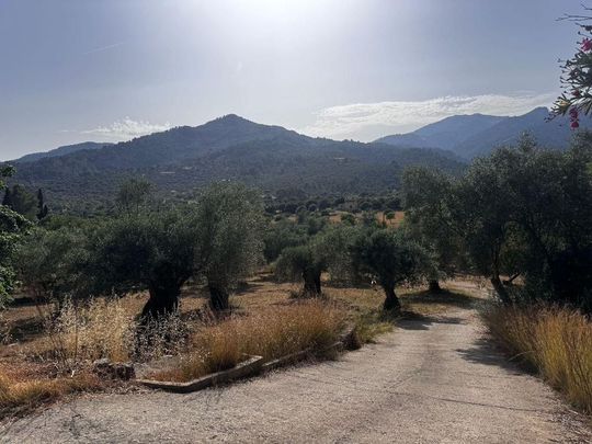 Luxury 3 room Detached House for rent in Mancor de la Vall, Balearic Islands - Photo 1