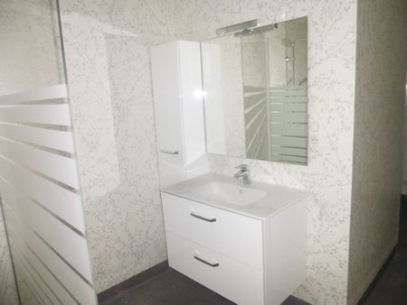 Location Appartement 2 pièces 95m² LE PUY EN VELAY 43000 - Photo 4