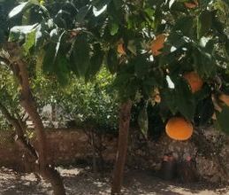 Διαμέρισμα για ενοικίαση - Νέο Ψυχικό, - Photo 6