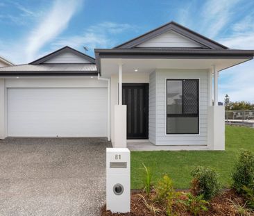 81 Morna Street, Newport - Photo 5