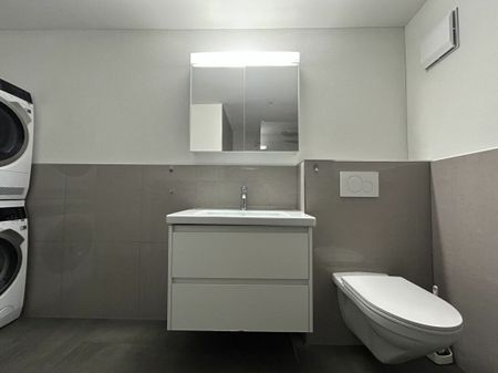 Hornussen / Appartement de 4.5 pièces - Photo 2