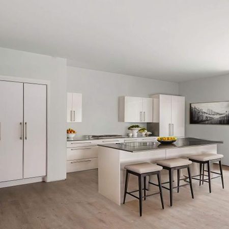 4 CH - 1 SDB - Sherbrooke - $1,850 /mo - Photo 3