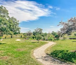 For Lease - 127 Frederick Tisdale Drive Unit# Basement rear, Toront... - Photo 5