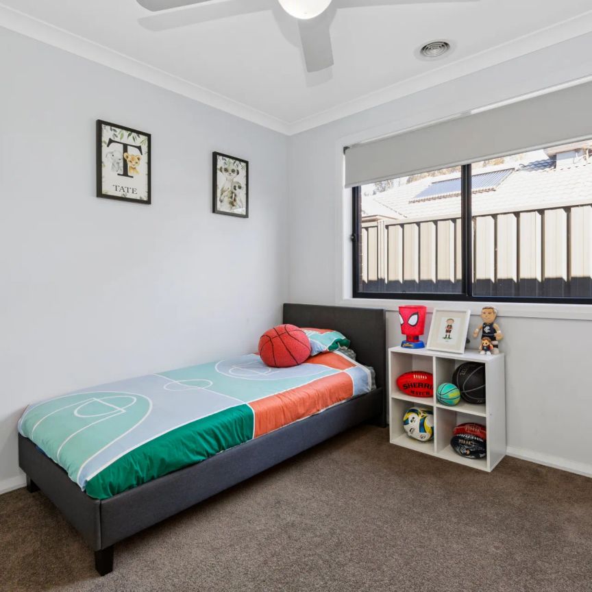 Perfect family home, with shedding - Photo 1