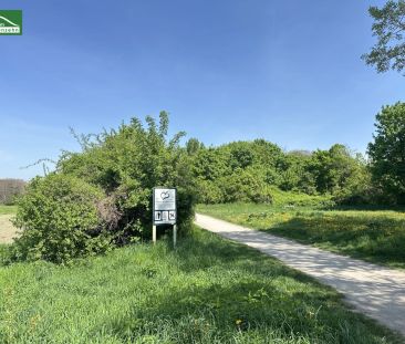 LEO 131 - Niedrigenergie-Wohnung in Hofruhelage! Anbindung nach Flo... - Photo 6