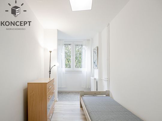 Pełen rozkład | 3-pok. | Piwnica | Krzyki - Zdjęcie 1