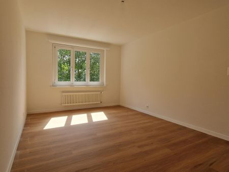 Komplett renovierte Wohnung in stadtnaher und dennoch ruhiger Lage - Photo 5