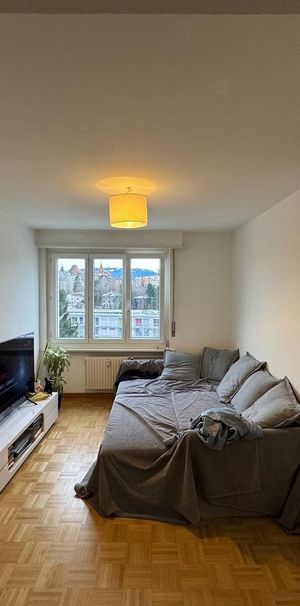 Bel appartement de 2 pièces au 6ème étage à Fribourg - Photo 1