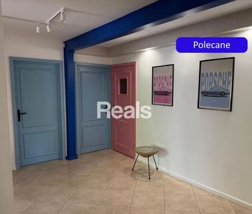 Pruszkowski, Michałowice, Pęcice, Piachy - Photo 6