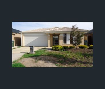 Spacious Single Storey Four Bedrooms Family Home - Photo 4