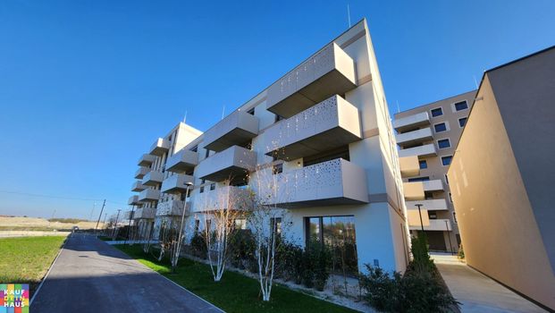 PROVISIONSFREI! BASTLERHIT! - Photo 1