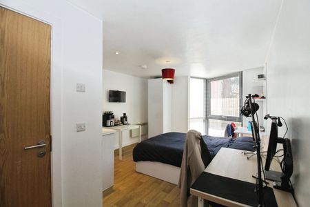 1 bedroom studio apartment to rent - Photo 4