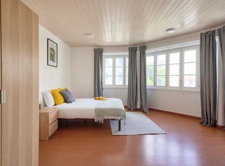 Rua Alexandre Herculano, Lisbon, Lisbon 1150-005 - Photo 3