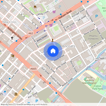 Apt 4.05 :: Ice Plant