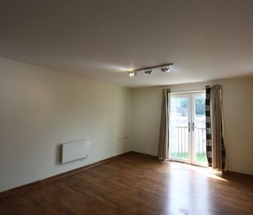 362 Myrtle Road, Sheffield - Photo 2