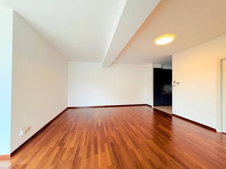 Appartamento in Affitto a Lugano - Photo 3