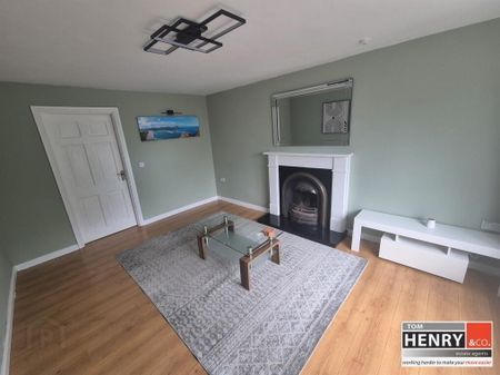 Ballynakilly Area, Ballynakilly, Dungannon, BT71 6GX - Photo 3
