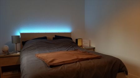 Location Appartement 2 pièces 42m² - Photo 2