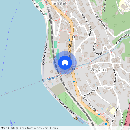 1820, Montreux, Avenue De Chillon, 51