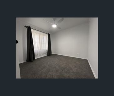 Newly Renovated Delight - Photo 3