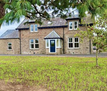 3 bedroom detached house to rent - Photo 4