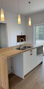 Beau et spacieux 4 1/2 à céder - 1455$ par mois - Photo 3