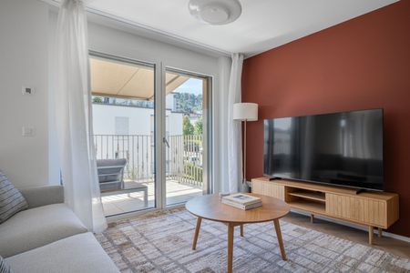 Friesenbergstrasse 221 - Foto 3