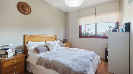 Apartamento de alquiler en Calle Concha Lagos, 2, Martín Carpena - Torre del Río - Foto 4