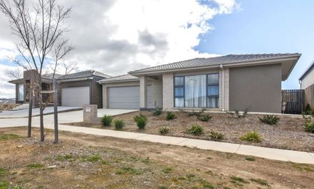 20 Pearl Gibbs Circuit, Bonner ACT 2914 - House For Rent | Domain - Photo 3