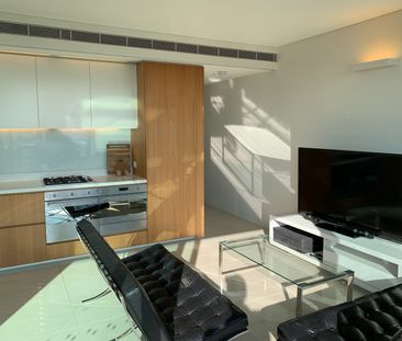 3 Carlton St, Chippendale NSW 2008 - Apartment For Rent | Domain - Photo 6