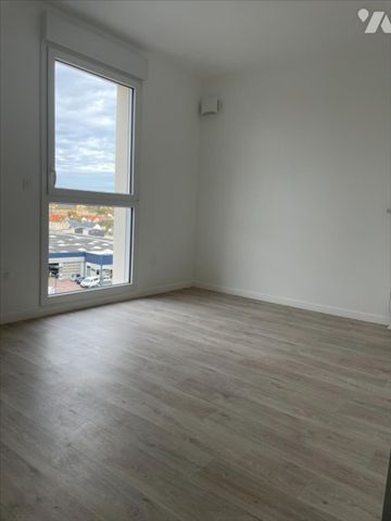 HAIE VIGNE - Photo 2