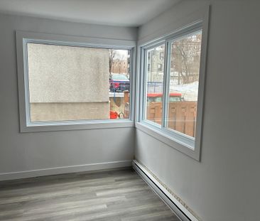 Grand 4 1/2 à Louer Bois-des-filion - Photo 3